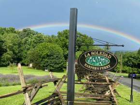 La Soledad Lavender Farm and Guesthouse